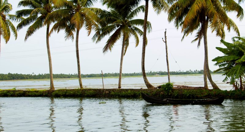 Landscape of Alleppey backwaters with coconut tree and reflection in water, Kerala, India.