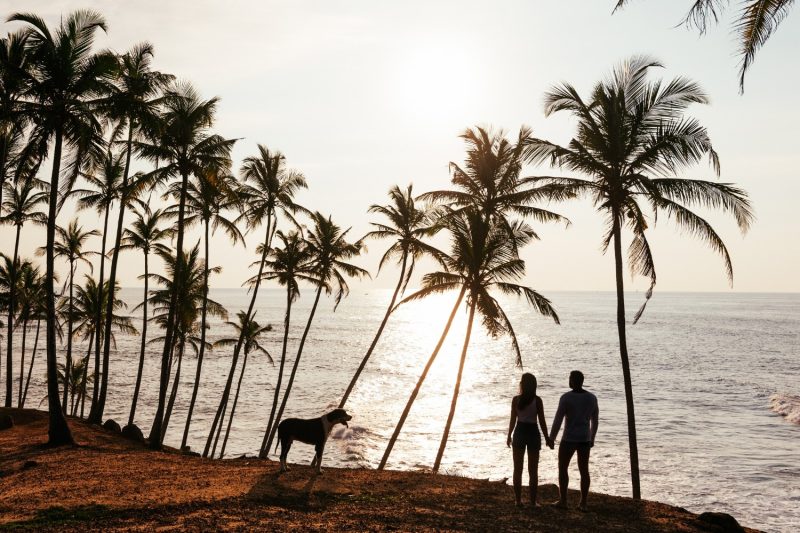 wedding-travel-silhouette-of-lovers-at-sunset-ho-2025-01-08-11-45-21-utc (1)